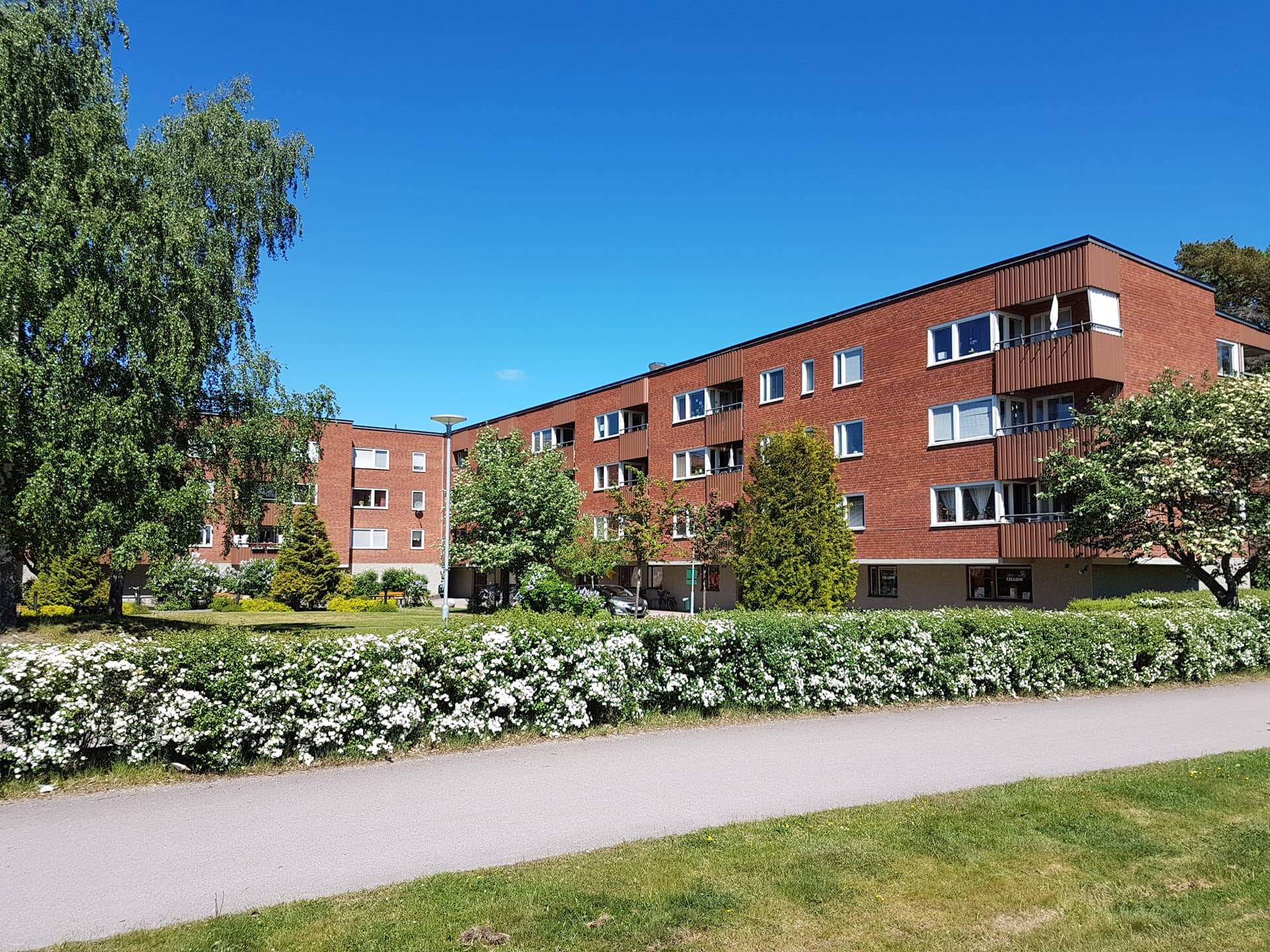 20170602_135626.JPG