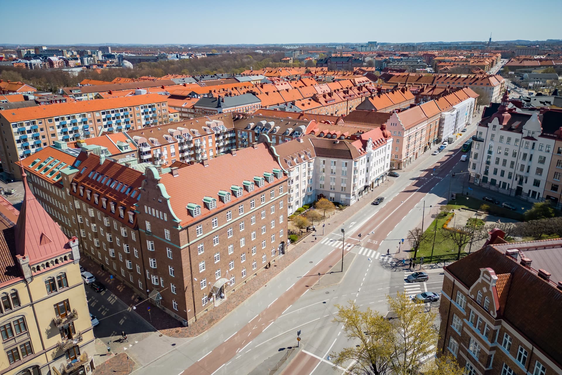 Ledebur drönare 2.jpg