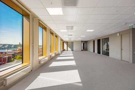 PBCA3241-Edit.jpg