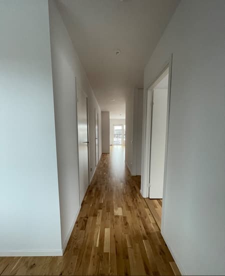 Hall_web.jpg