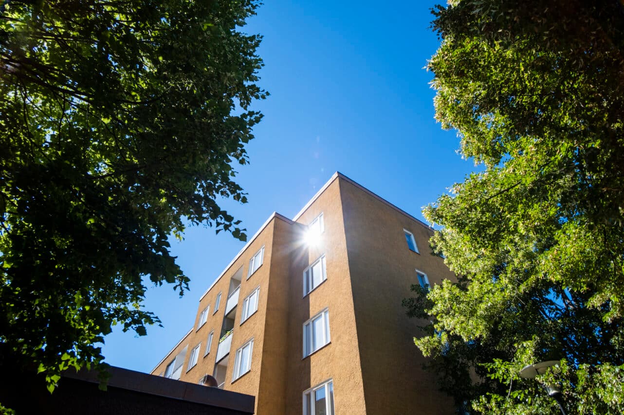 solglimt i hus.jpg