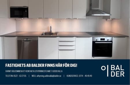 5007-1159 banderoll.JPG
