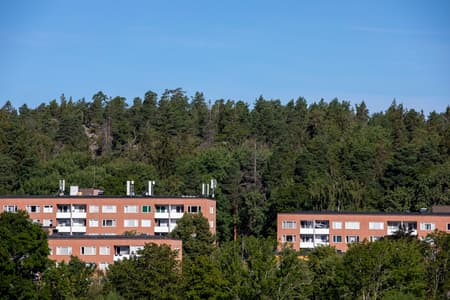 flygfoto.jpg