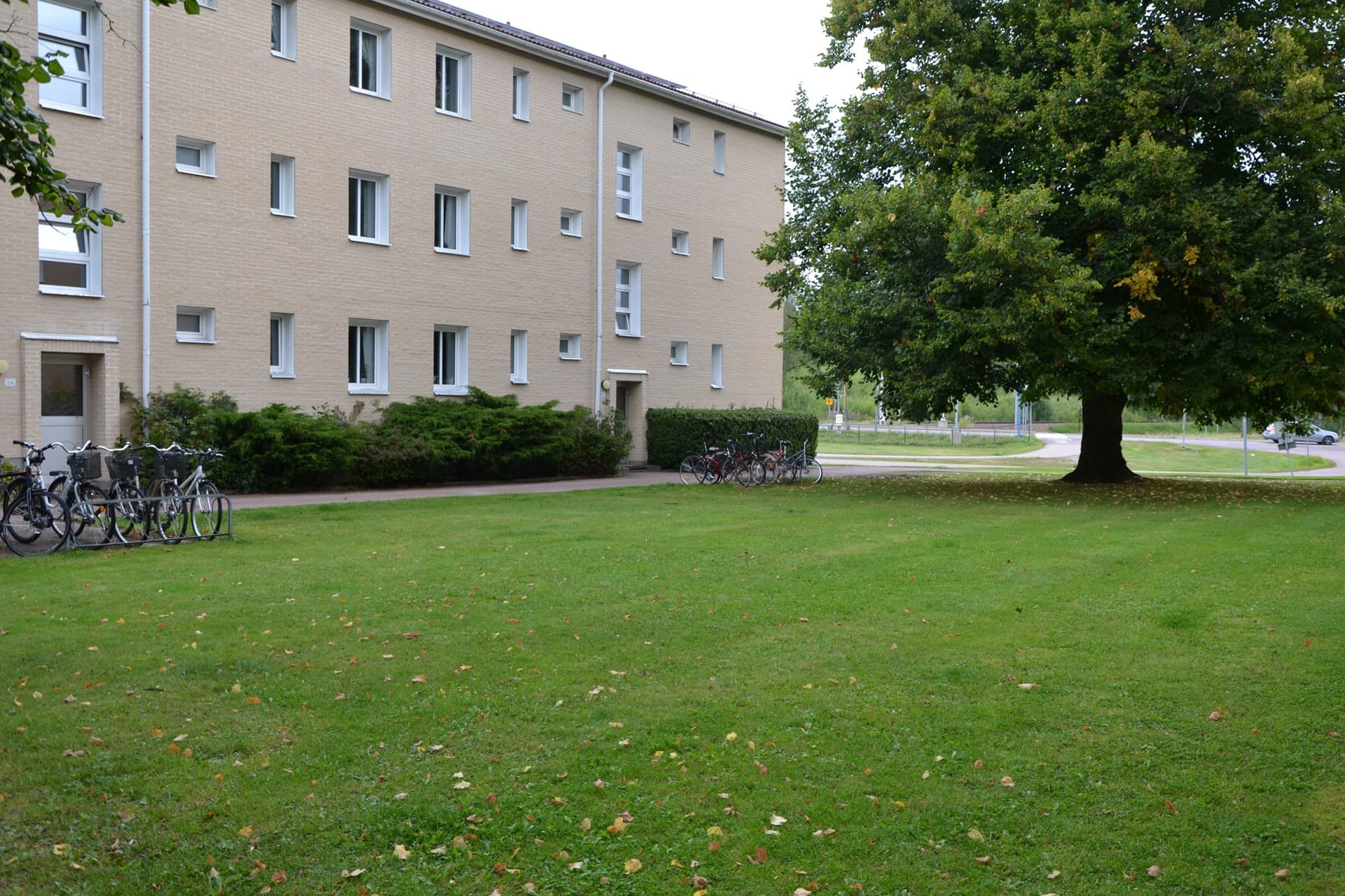 DSC_0278.JPG