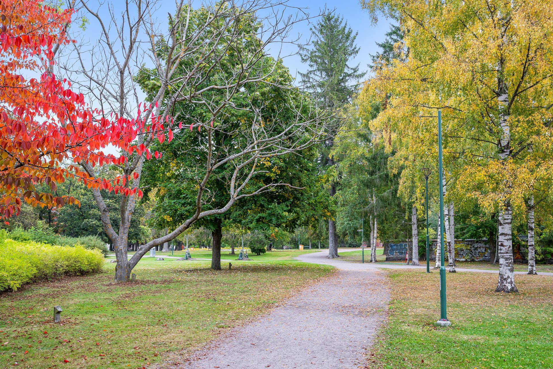Folkparken.jpg