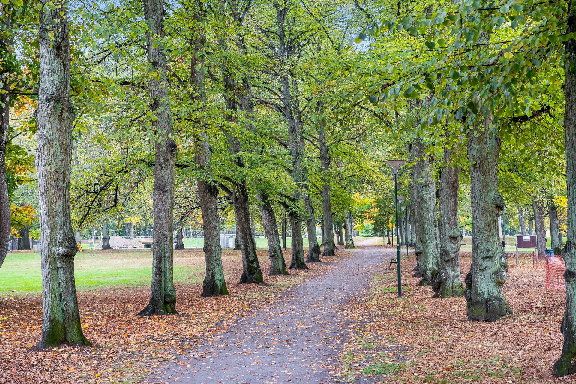 Folkparken 1.jpg