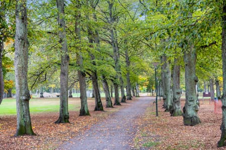 Folkparken 1.jpg