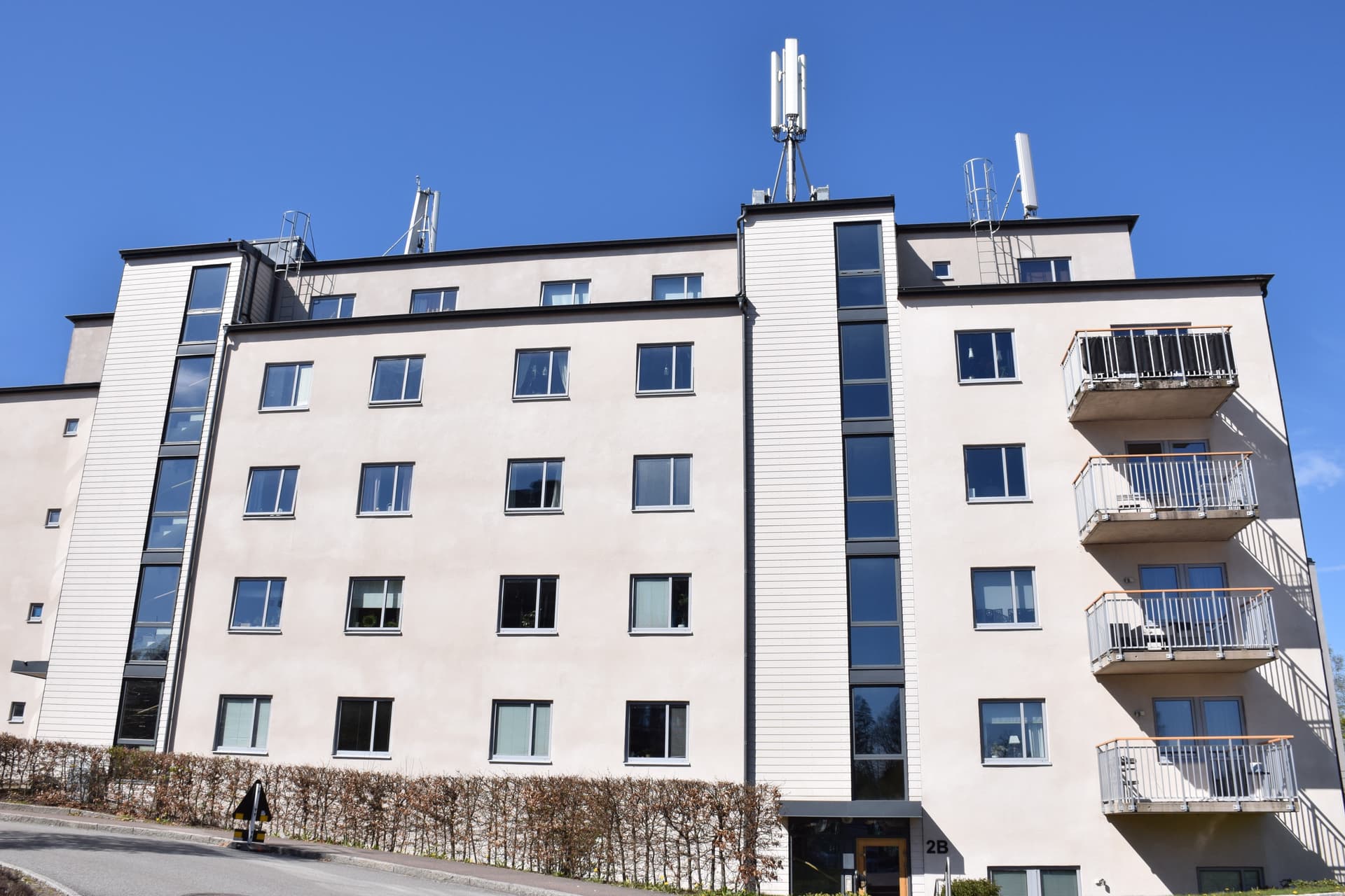 Stadsskogen, Björkhagen.jpg