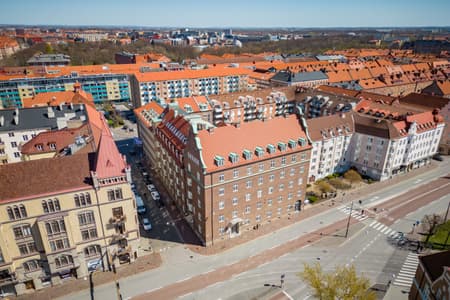 Ledebur drönare 1.jpg