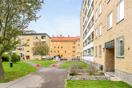 694320-421-1_007.jpg