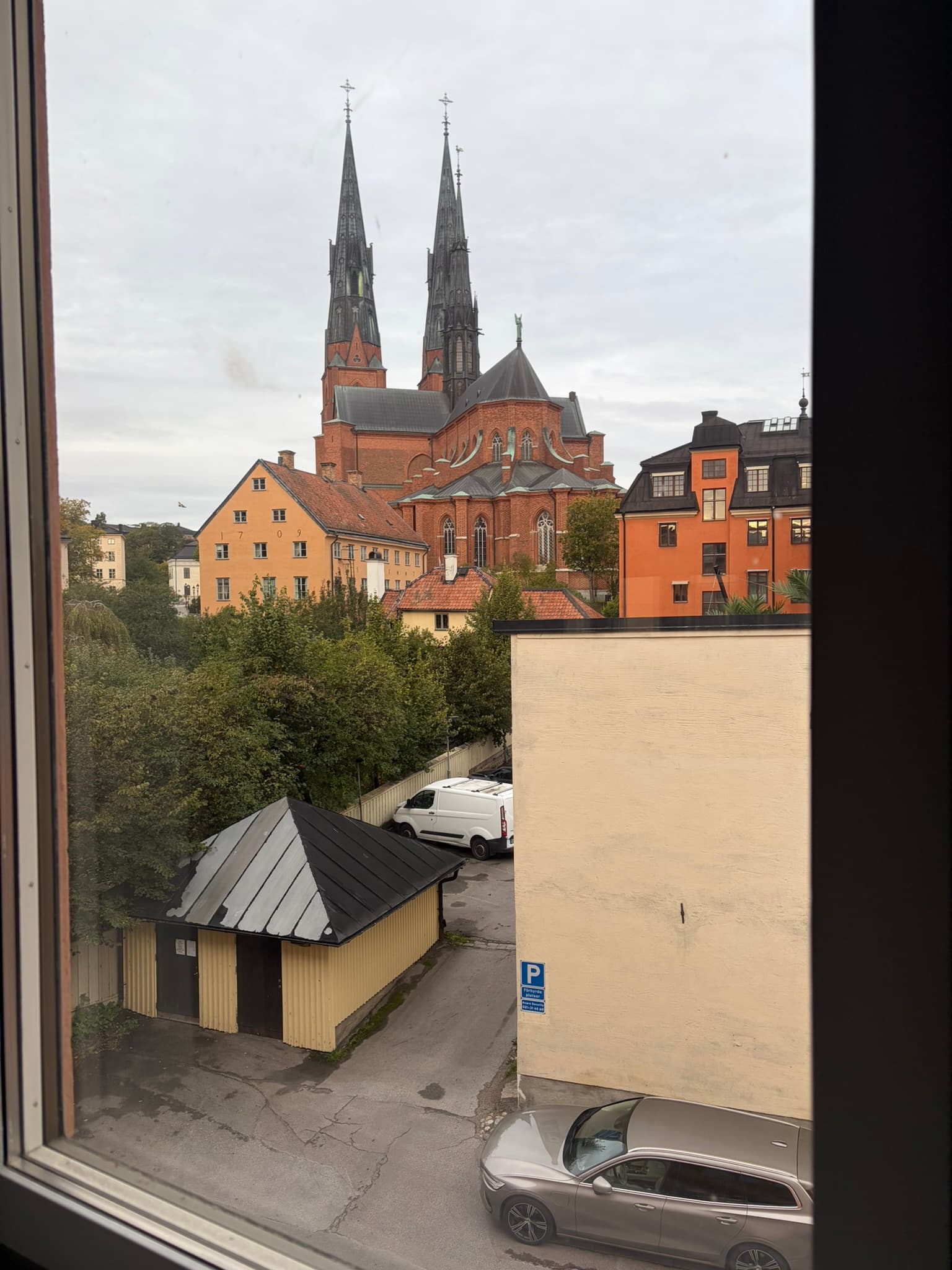IMG_0149.JPEG