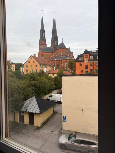 IMG_0149.JPEG