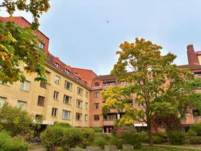 Gamla rådstugugatan.jpg