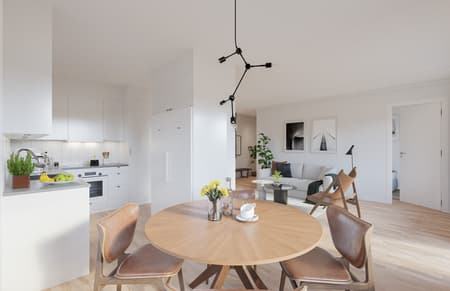 Balder Stenhuggaren 3-1102-Kit-Liv_web.jpg