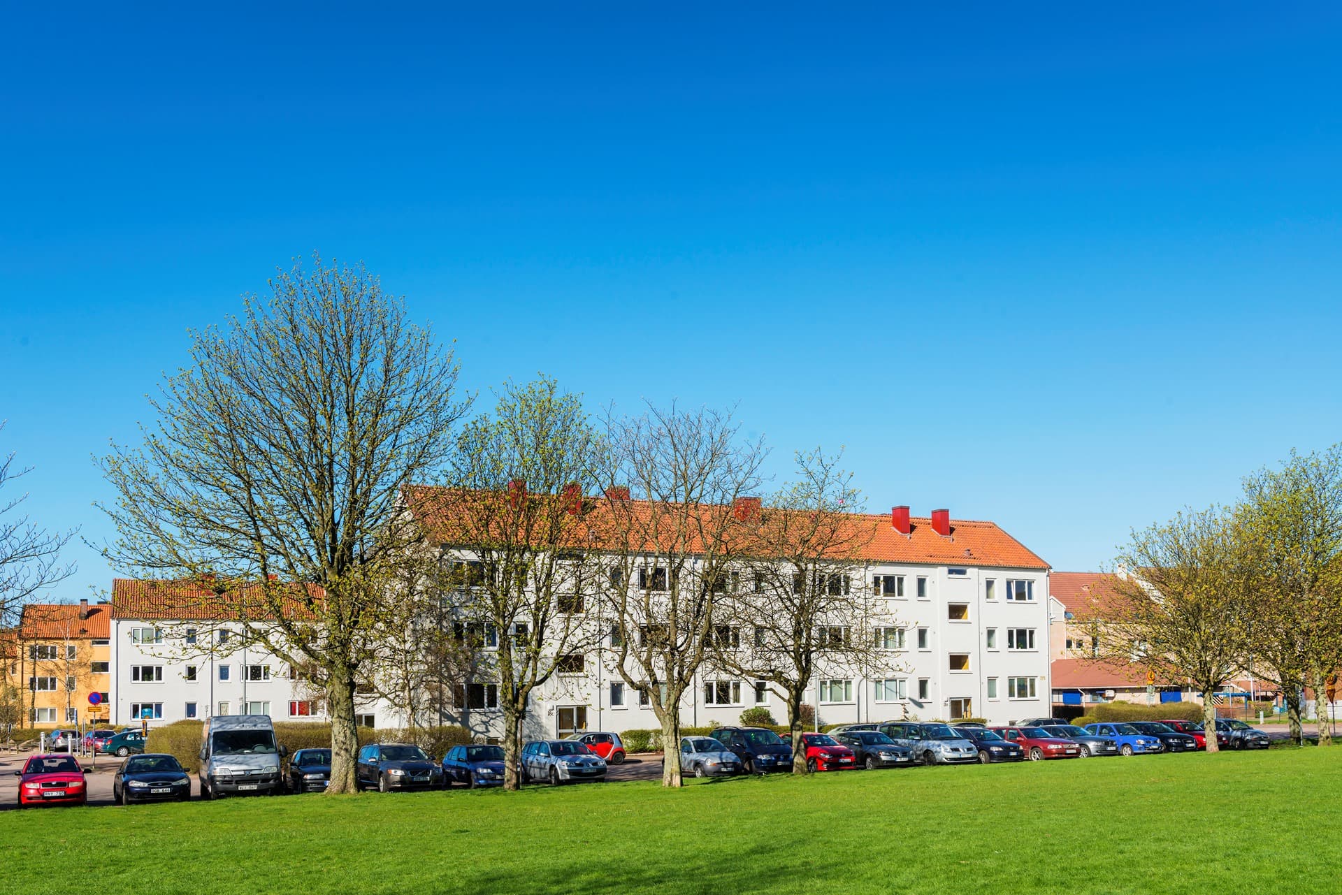 2_4_2_19_4 Ödlan 9 _ 10 - Bild 4.JPG