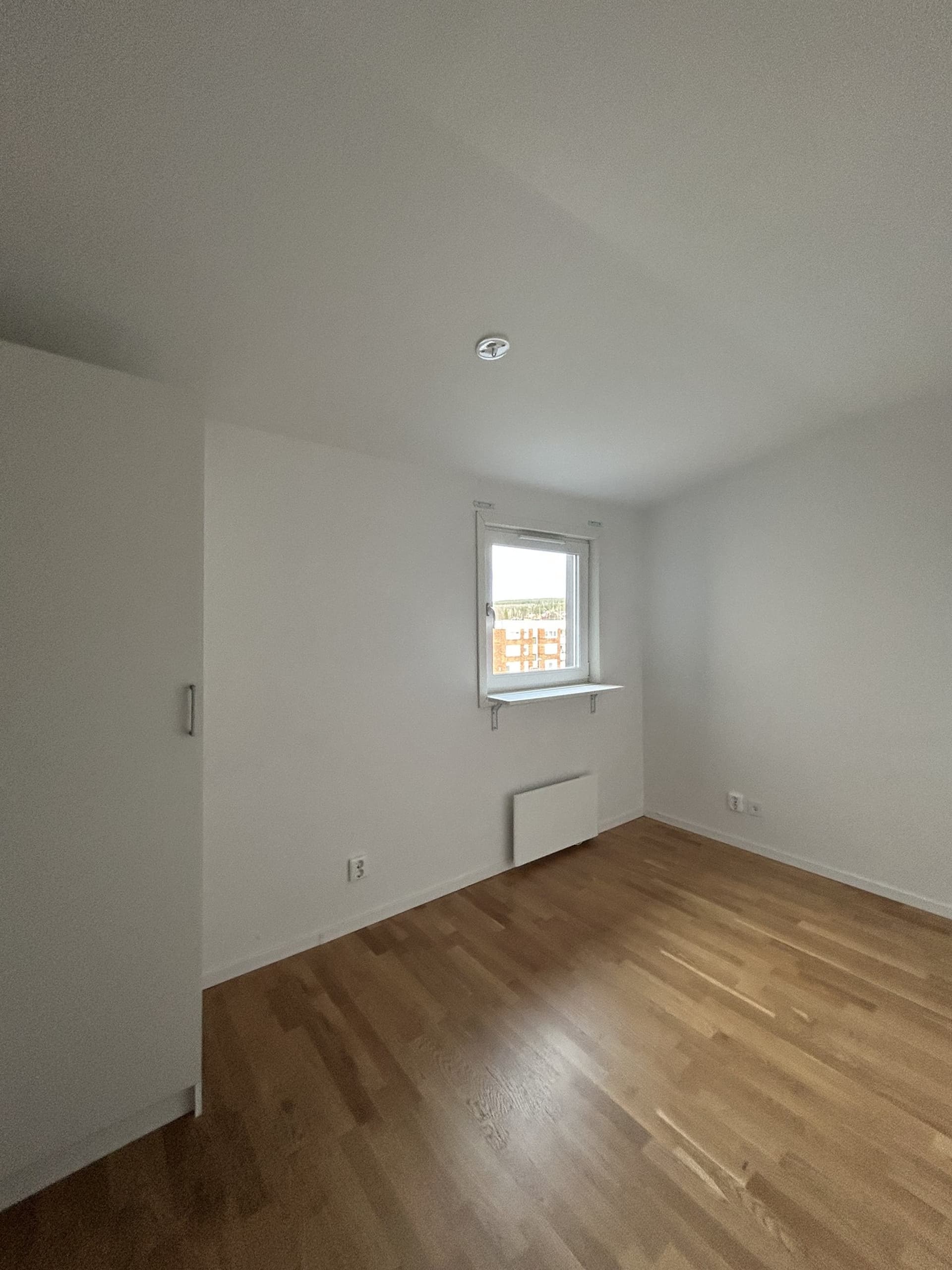 79924cba9ecc4648abaf59906e2a9555 (2).jpeg