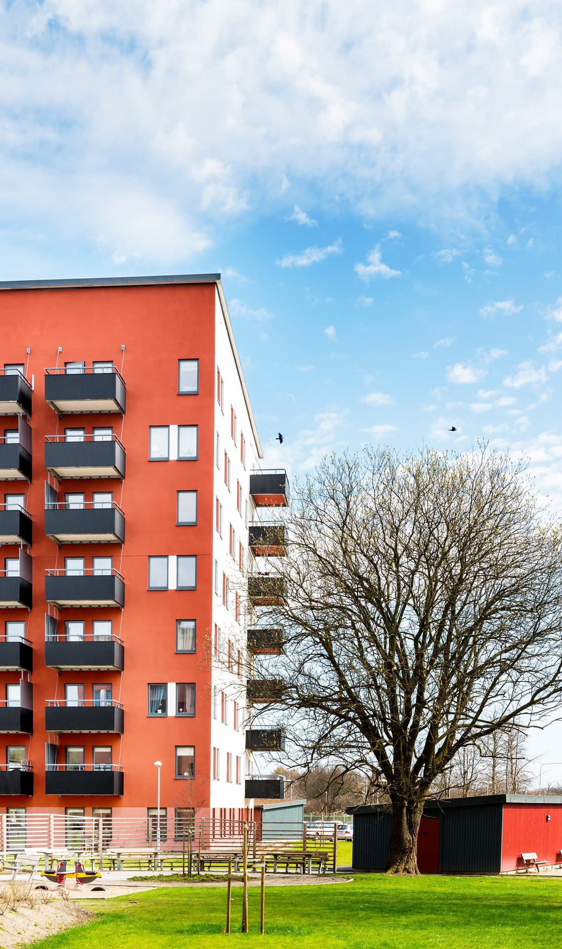 2_4_2_15_4 Strimman 2 - Bild 4.JPG