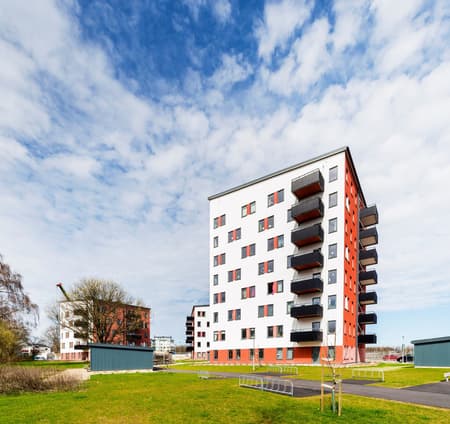 2_4_2_15_2 Strimman 2 - Bild 2.JPG