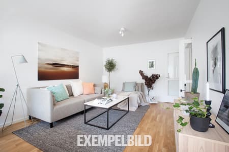Lägenhet 1 - Vardagsrum - Soffa - HEM - Exempelbild.jpg