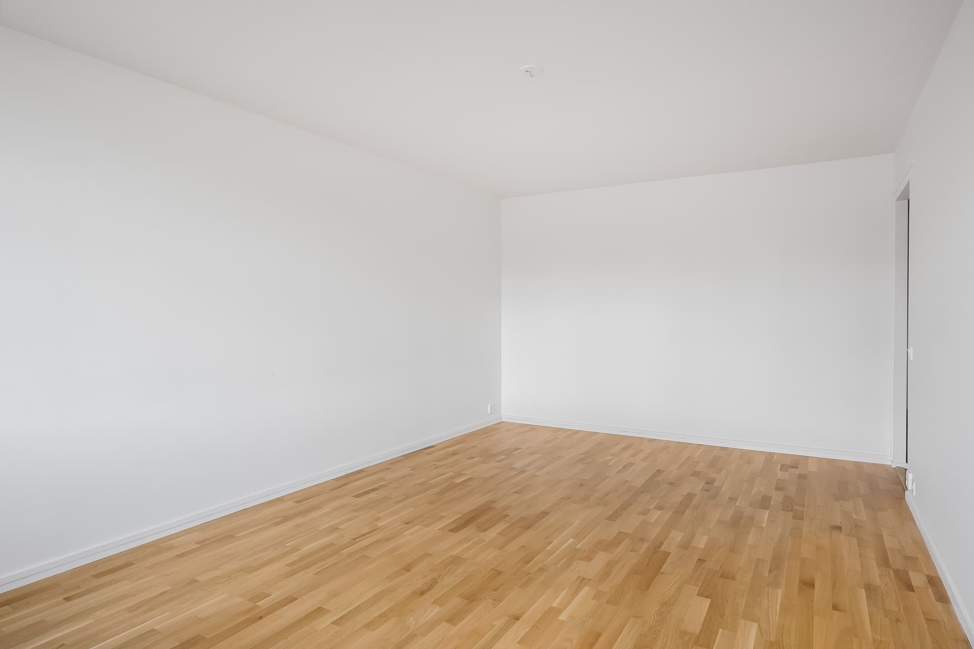 751962-421-1_004 (1).jpg