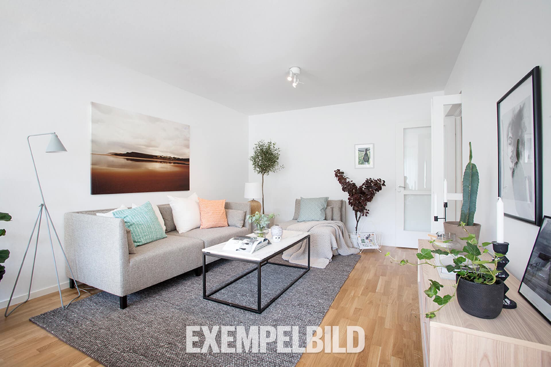 Lägenhet 1 - Vardagsrum - Soffa - HEM - Exempelbild.jpg