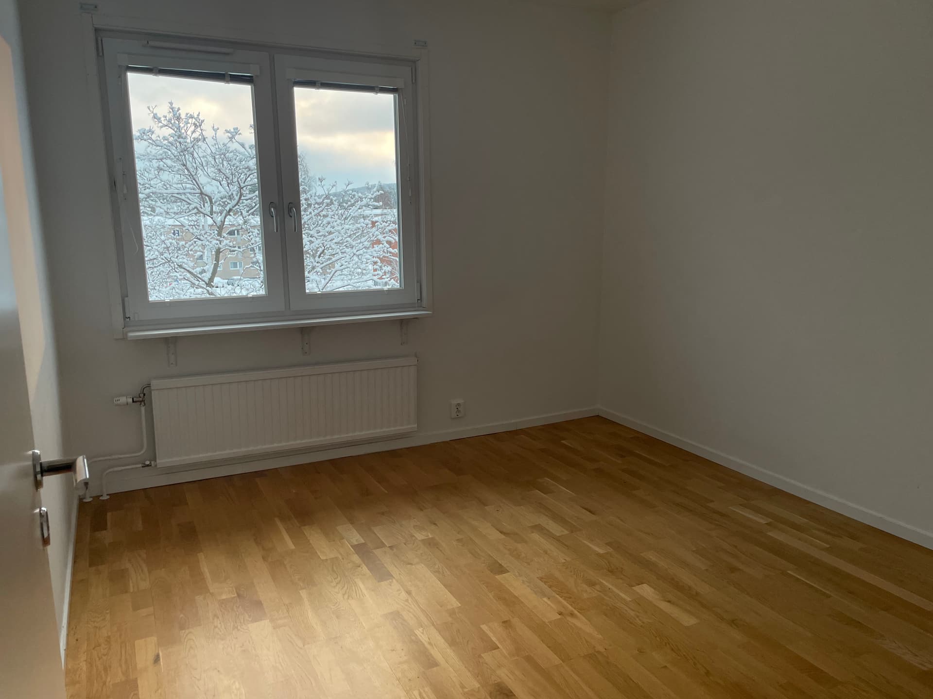 Image - 2026-01-23T144012.892.jpg