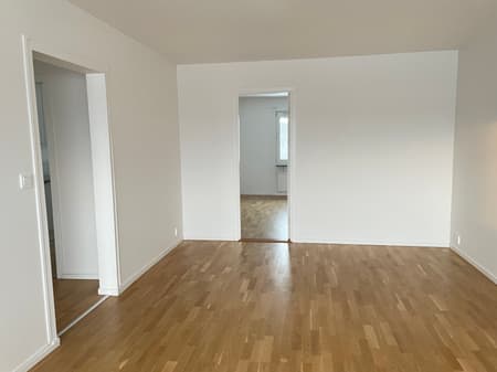 Image - 2026-01-23T144008.401.jpg