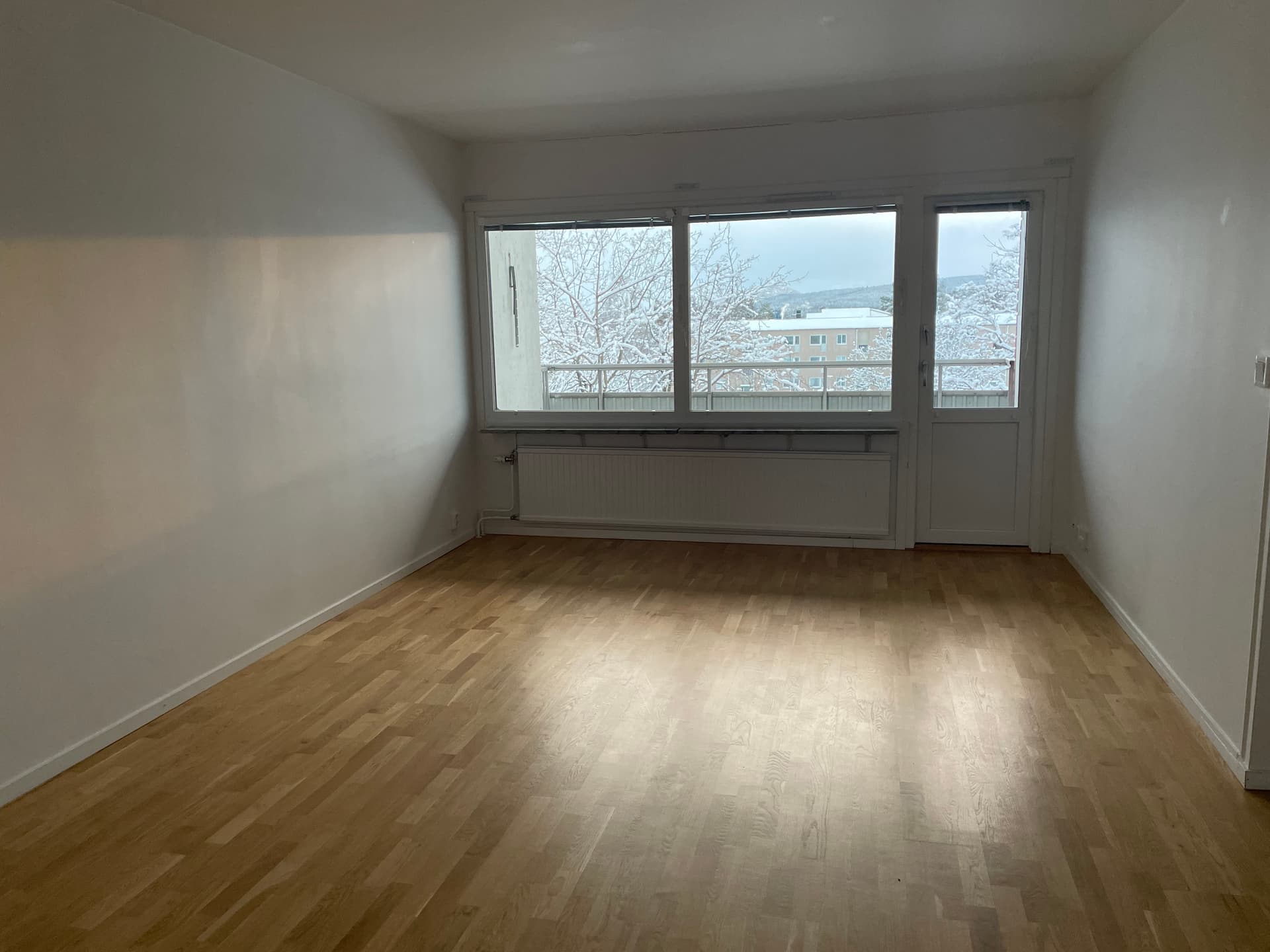 Image - 2026-01-23T144007.342.jpg