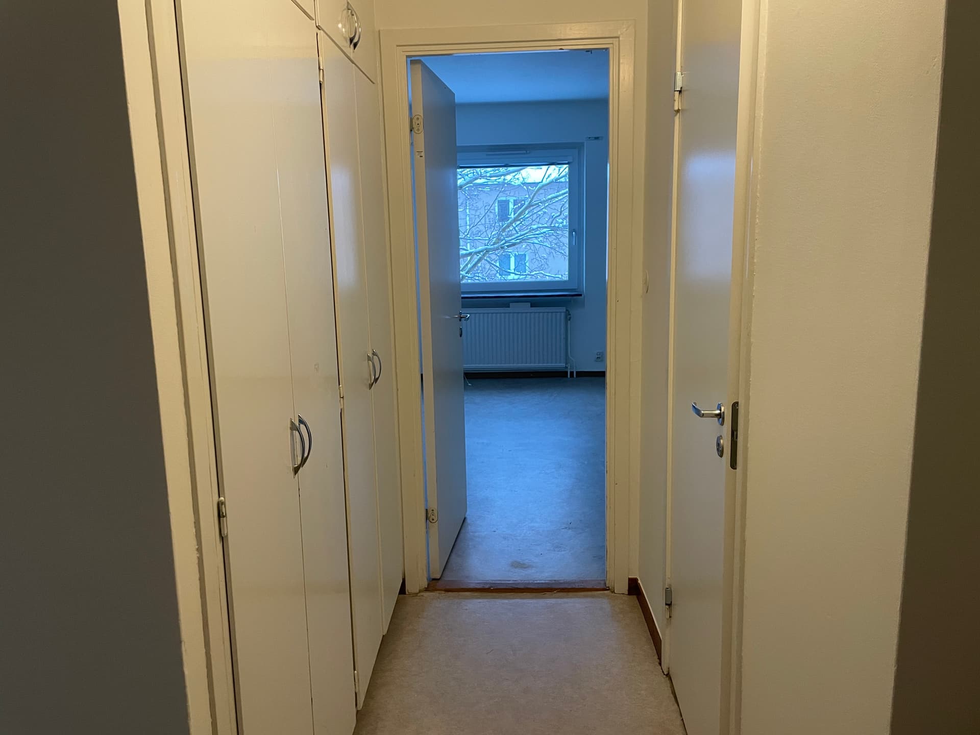 Image - 2026-01-23T150335.200.jpg