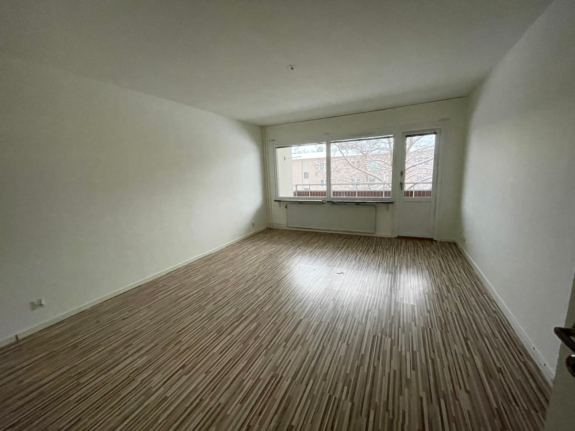 Image - 2026-01-23T150350.508.jpg