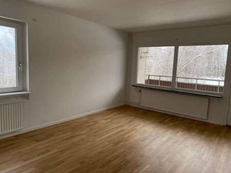 Image - 2026-01-29T131442.309.jpg