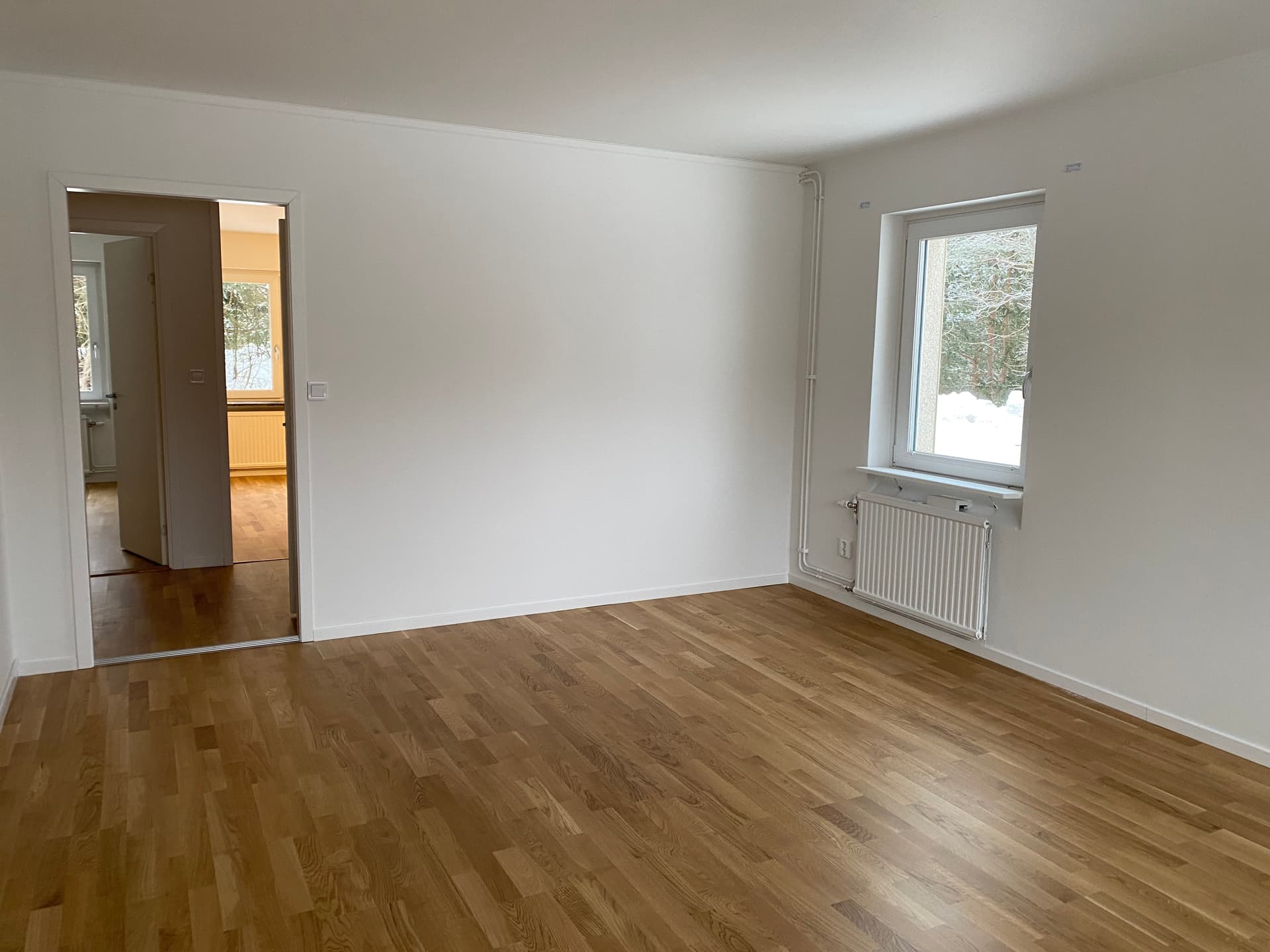 Image - 2026-01-29T131457.075.jpg