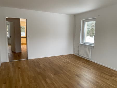 Image - 2026-01-29T131457.075.jpg