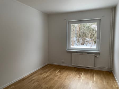 Image - 2026-01-29T131538.290.jpg