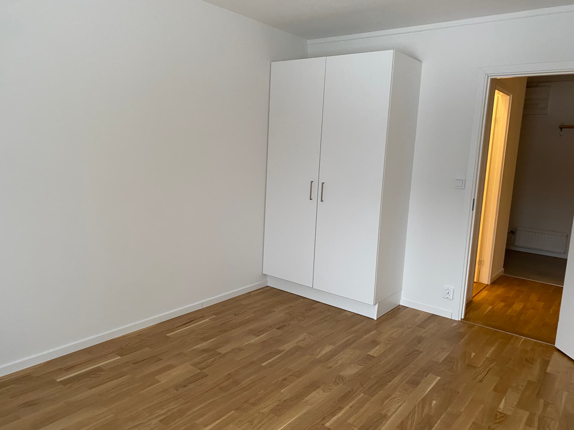 Image - 2026-01-29T131643.793.jpg