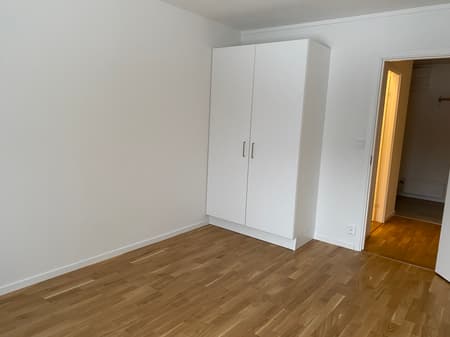 Image - 2026-01-29T131643.793.jpg