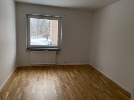 Image - 2026-01-29T131911.747.jpg