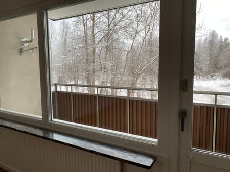 Image - 2026-01-29T131951.454.jpg