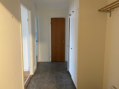 Image - 2026-01-29T160423.621.jpg