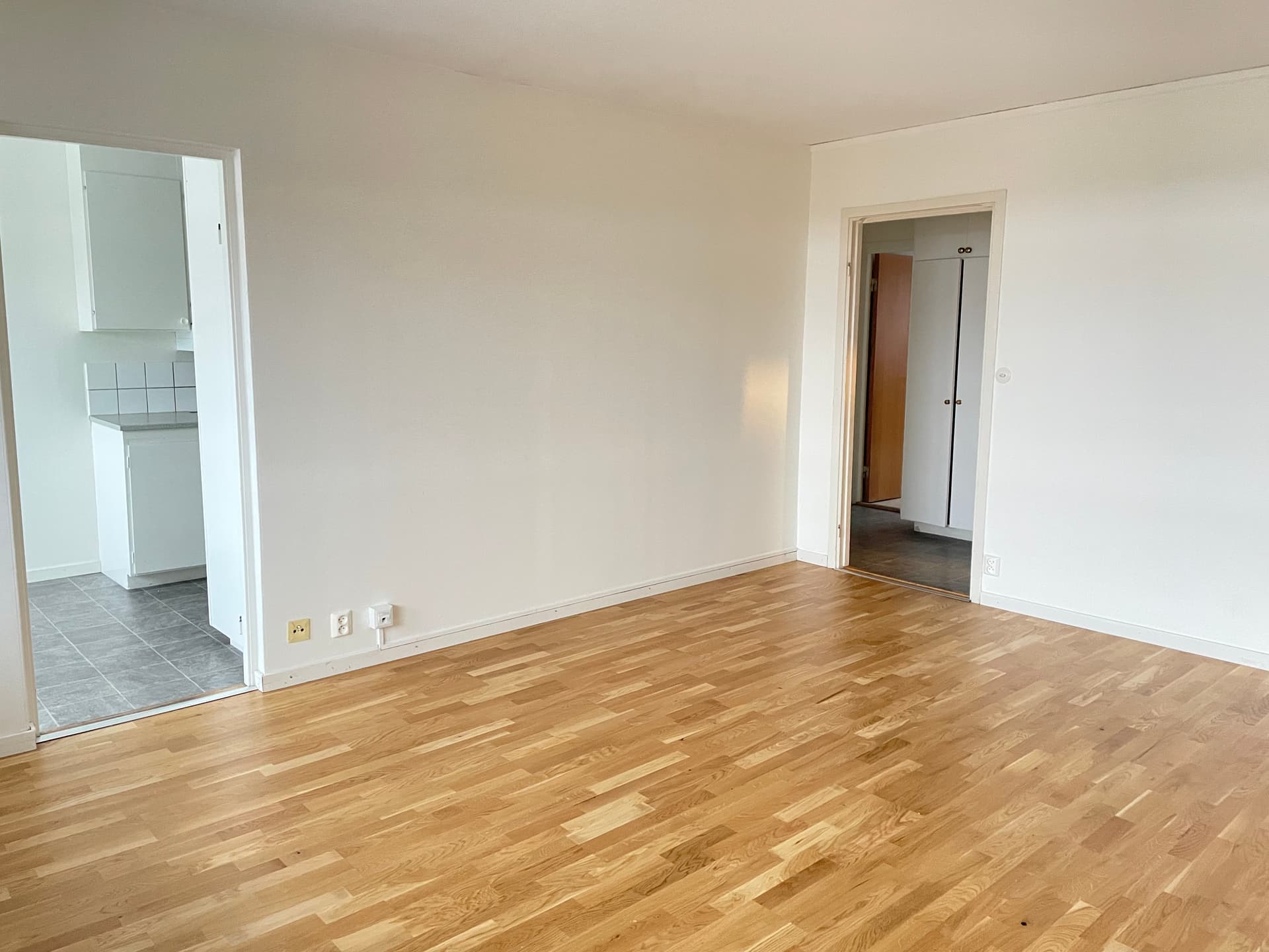 Image - 2026-01-29T160444.329.jpg