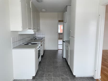 Image - 2026-01-29T160453.126.jpg