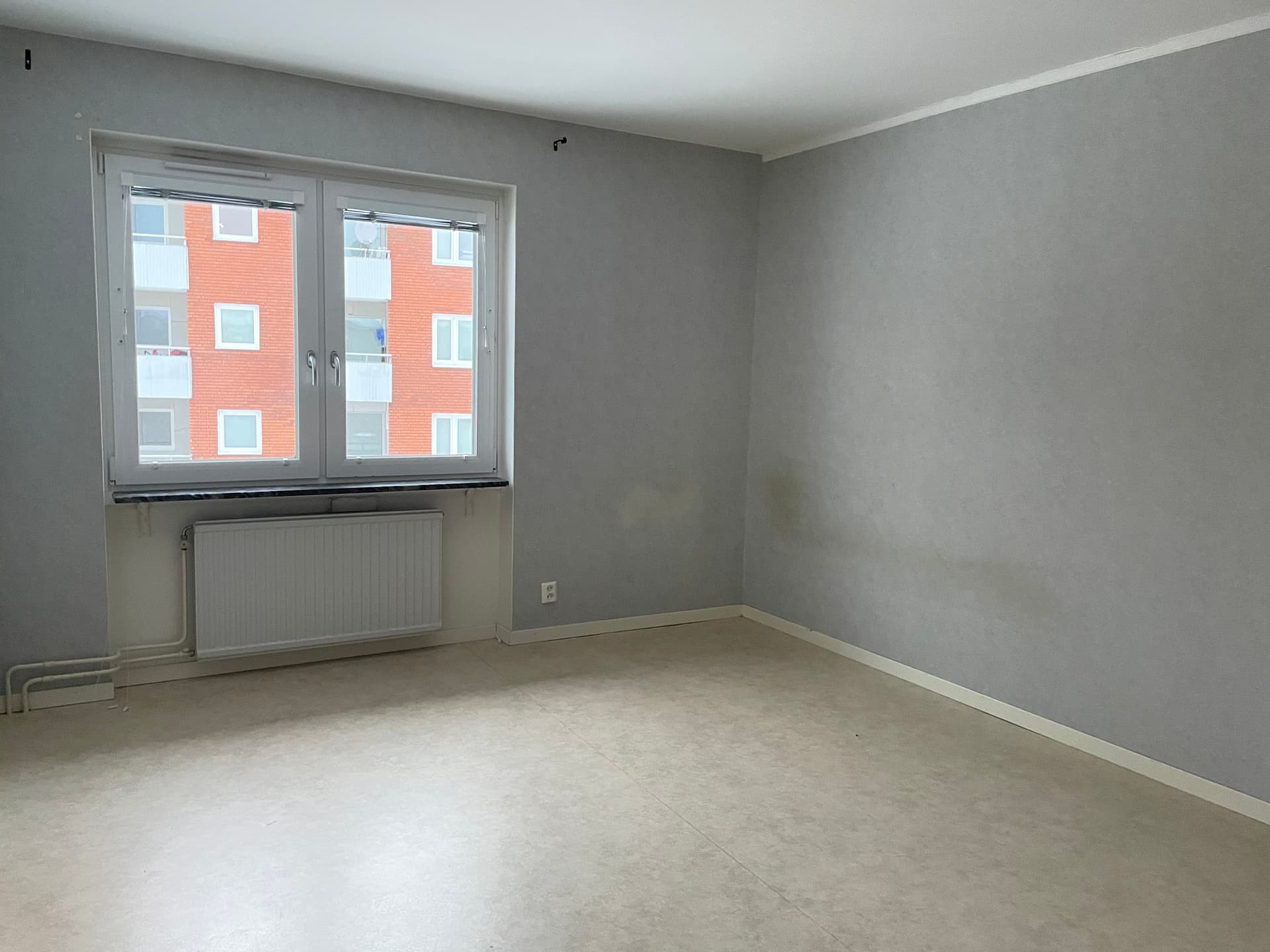 Image - 2026-01-29T160526.901.jpg