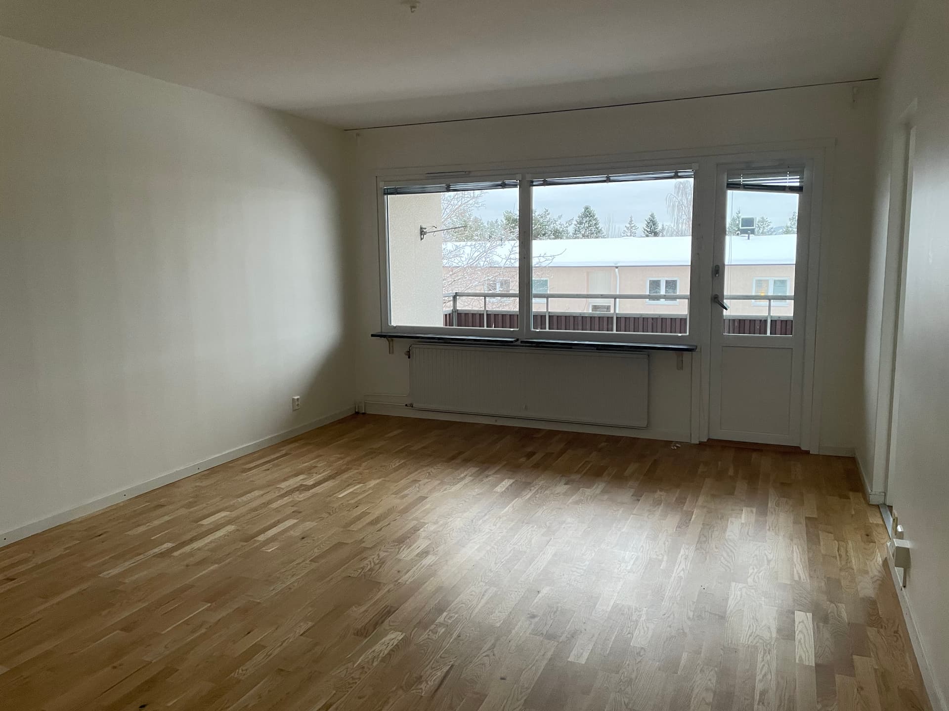 Image - 2026-01-29T160644.036.jpg