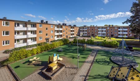 Vapenrockn reg och rönn.jpg