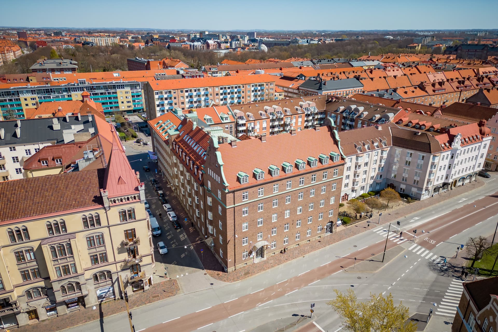 Ledebur drönare 1.jpg