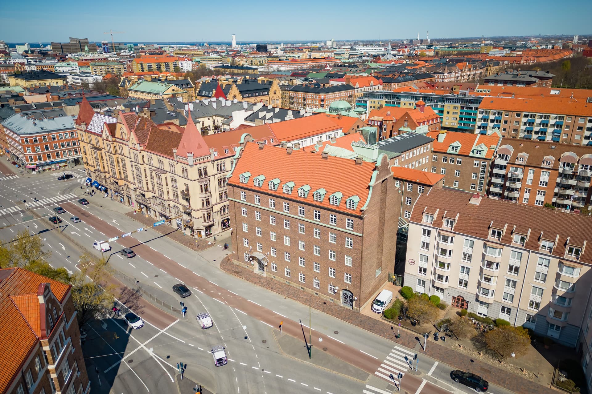 Ledebur drönare 5.jpg