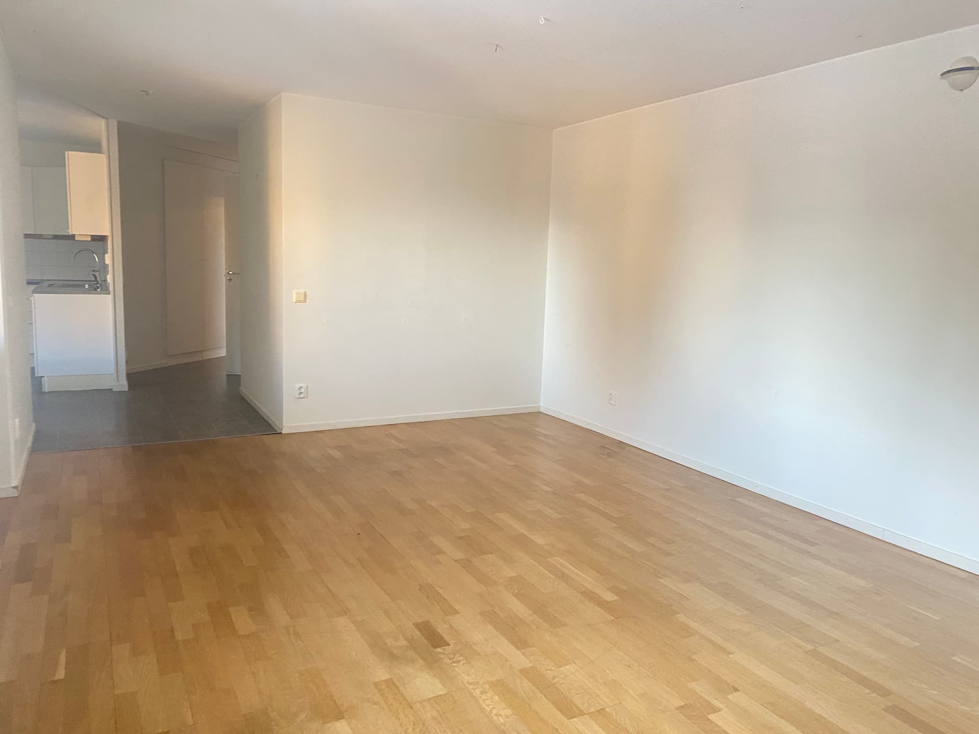 Image - 2026-02-05T084449.553.jpg