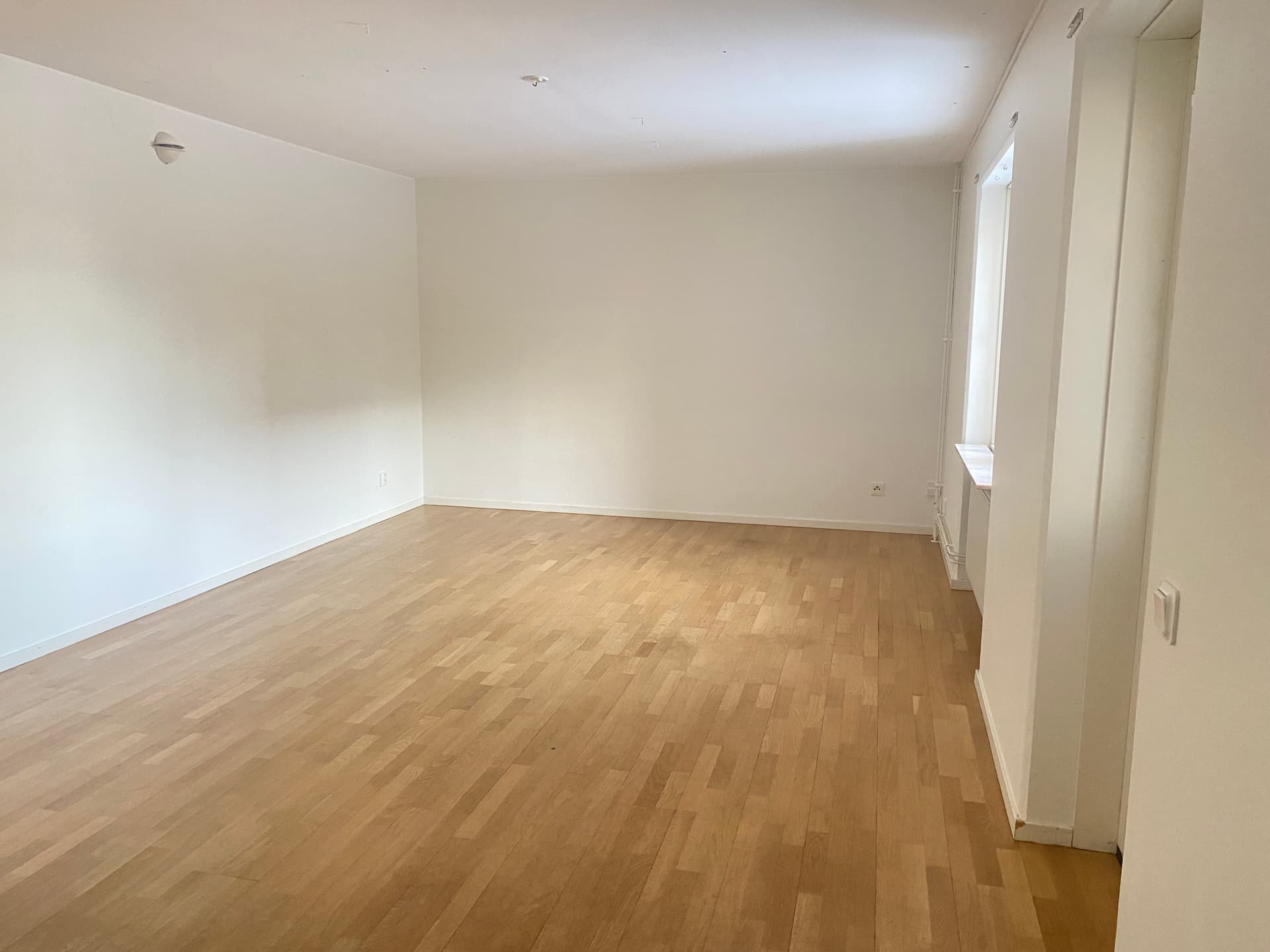 Image - 2026-02-05T084456.170.jpg