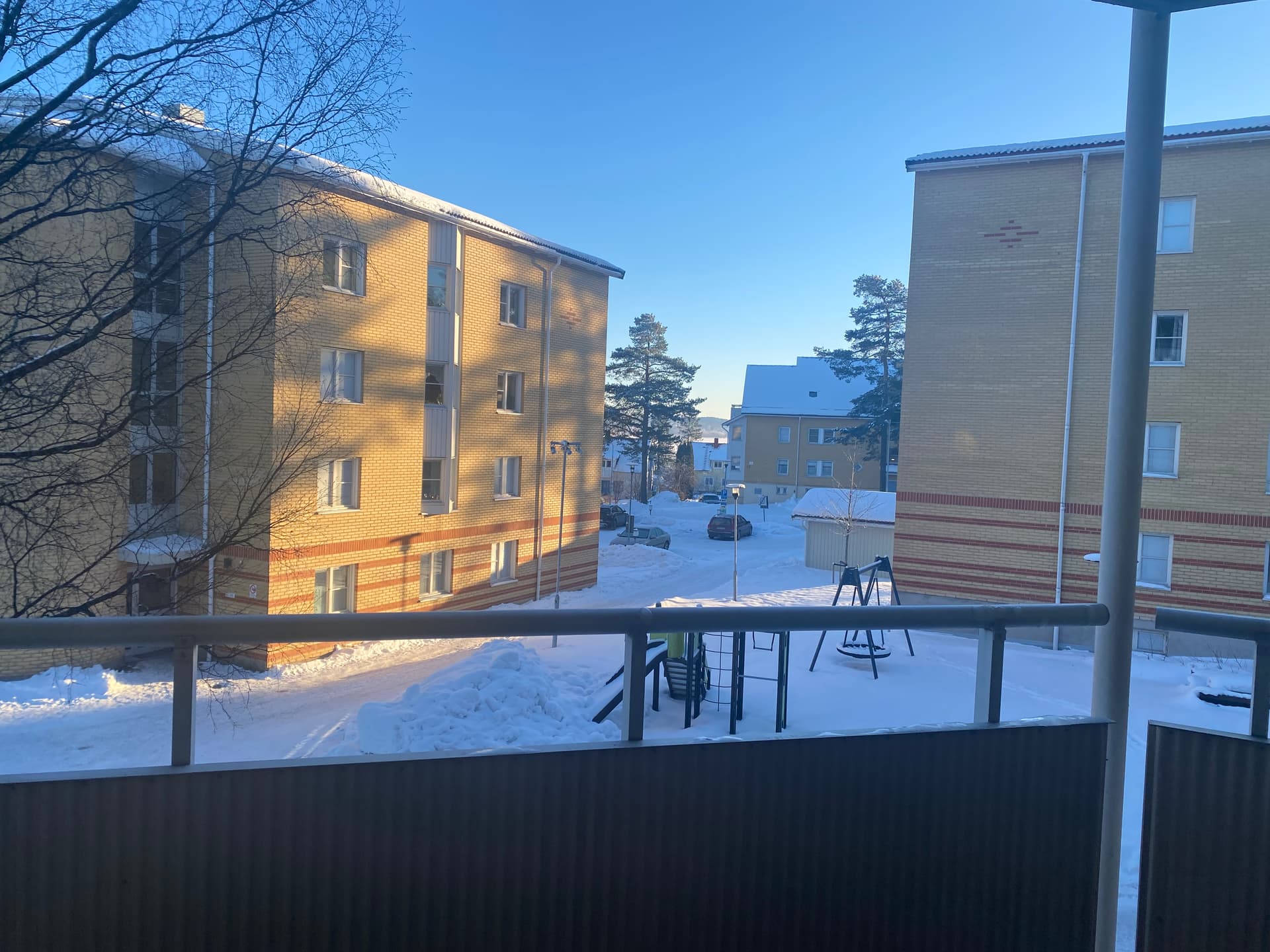 Image - 2026-02-05T084505.965.jpg