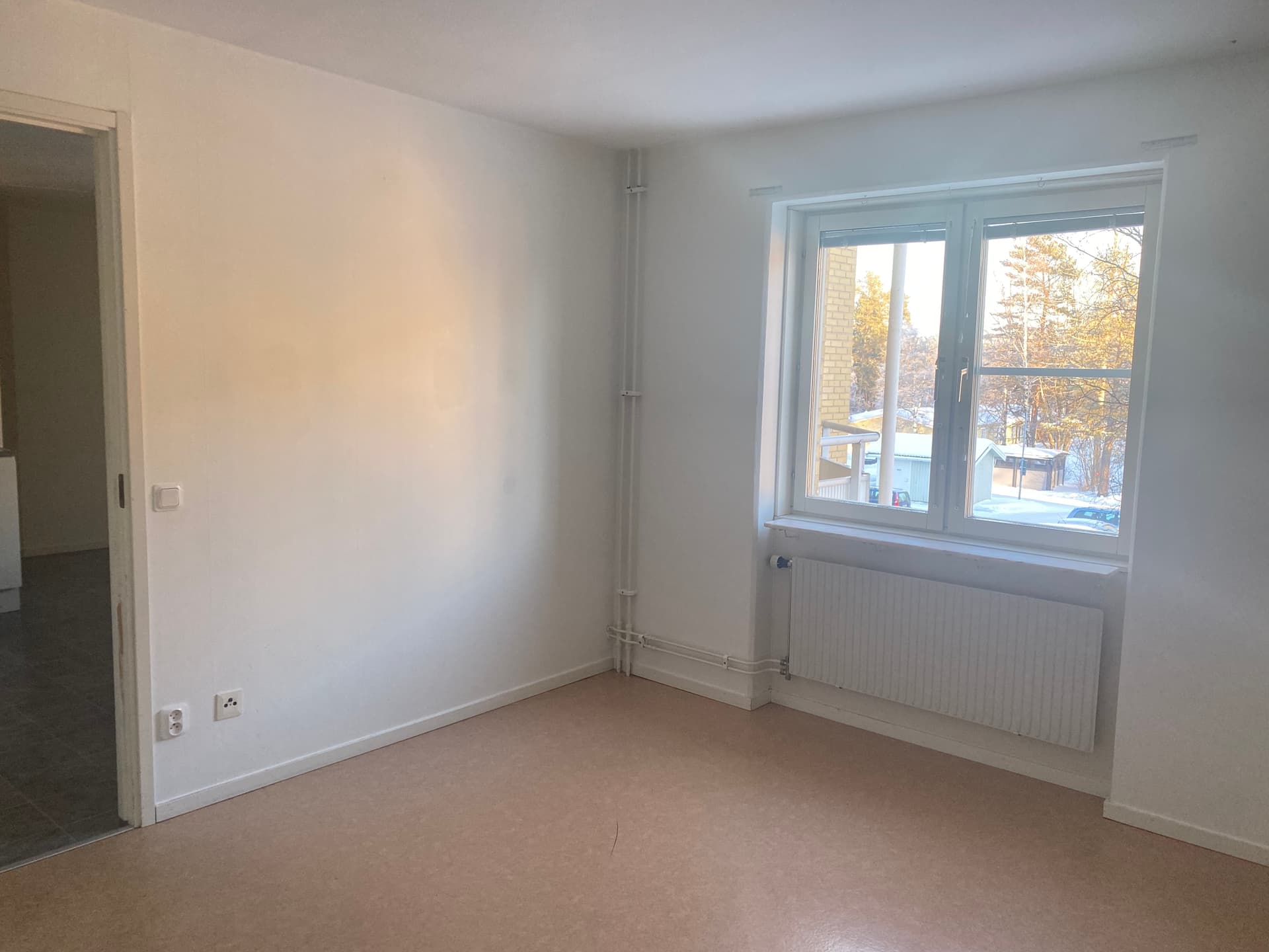 Image - 2026-02-05T084635.553.jpg